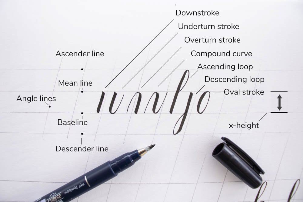 The 7 basic calligraphy strokes + terminology - Lettering Daily