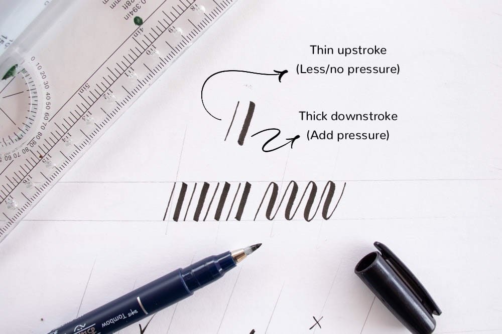 Thick and thin calligraphy strokes - Lettering Daily