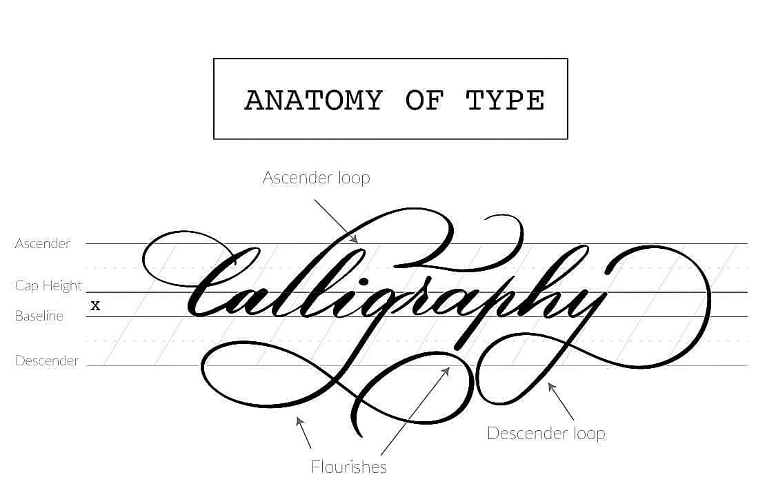 How to get started with dip pen calligraphy - Lettering Daily