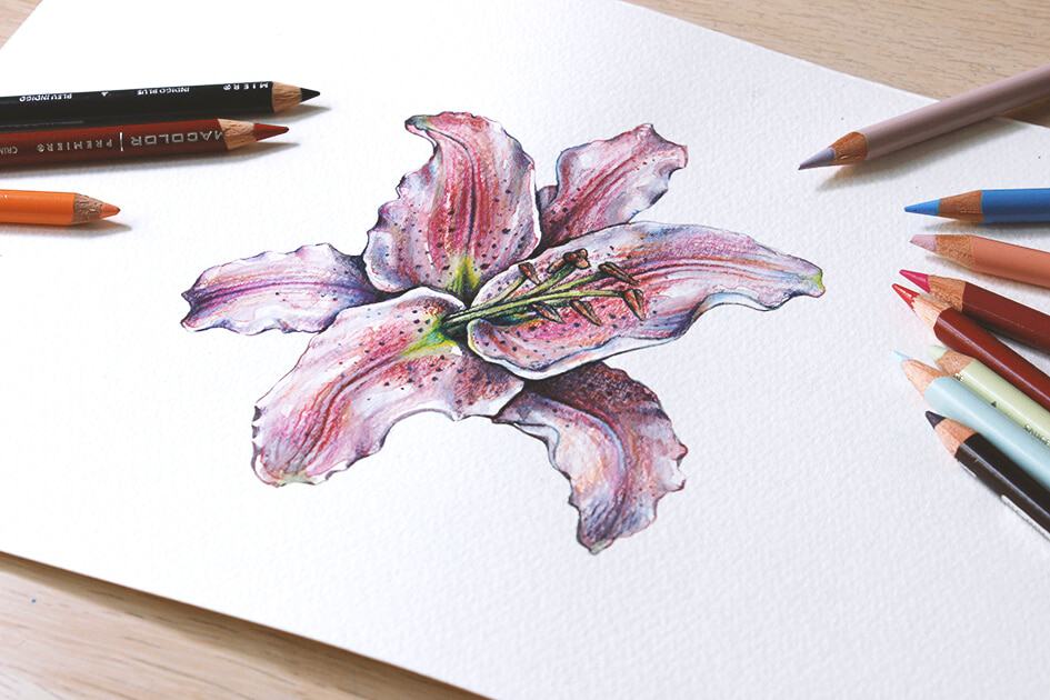 How to create watercolor flowers - Lettering Daily