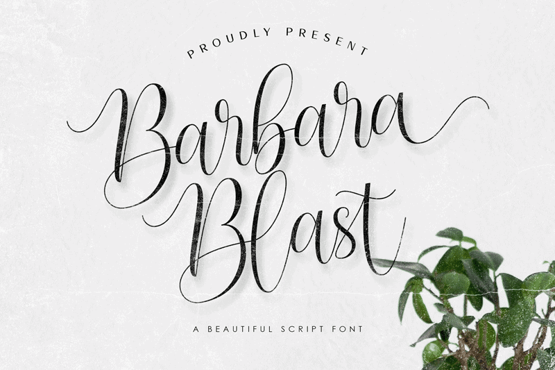 barbara_blast font cover