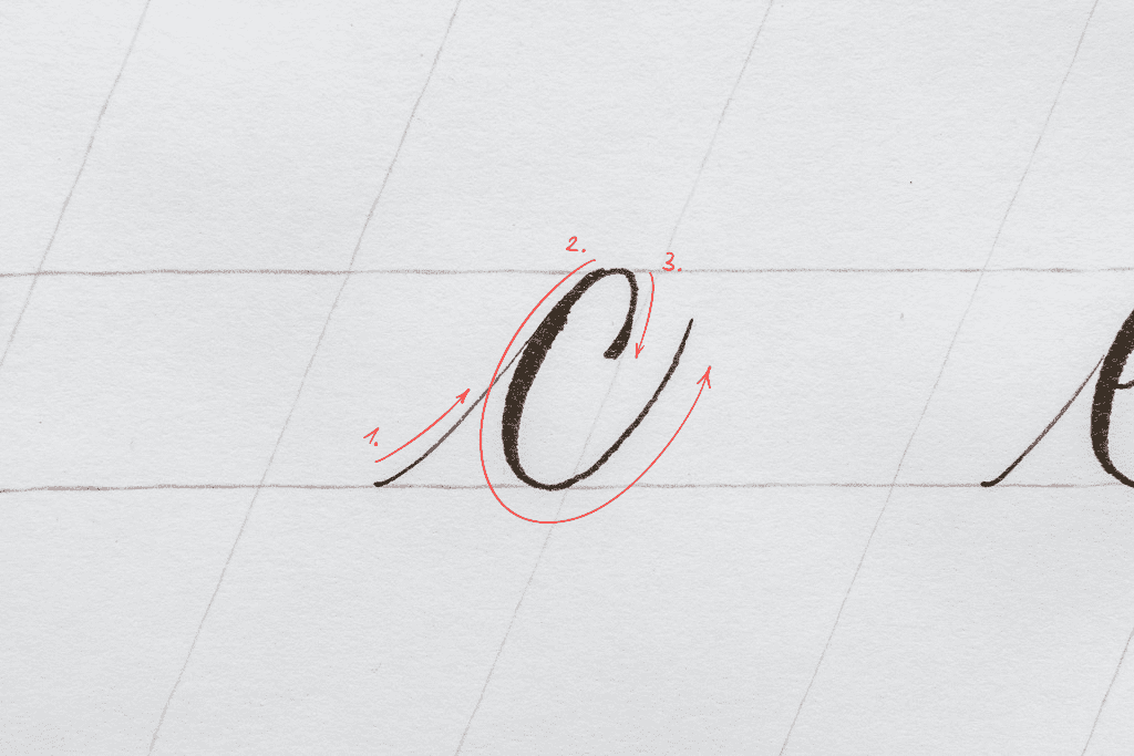 The letter c in calligraphy. 