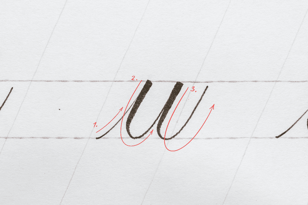 The letter u in calligraphy. 