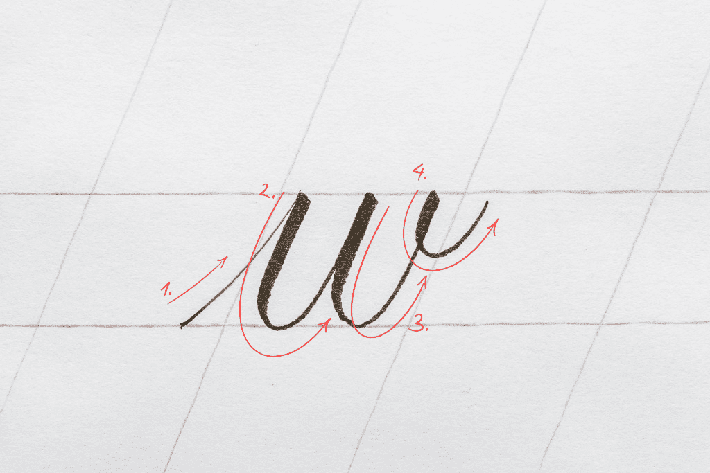The letter w in calligraphy. 