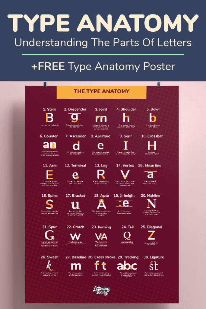 Type Anatomy - The Parts Of Letters (+FREE Poster)