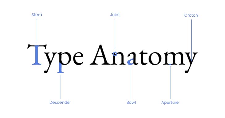 Cover image for the type anatomy article