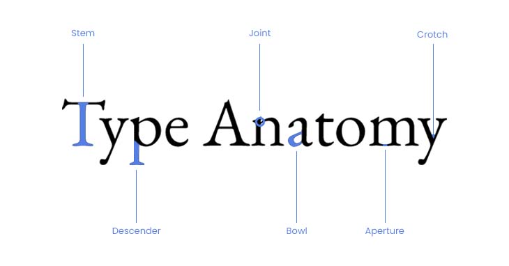 Type Anatomy - The Parts Of Letters (+FREE Poster)