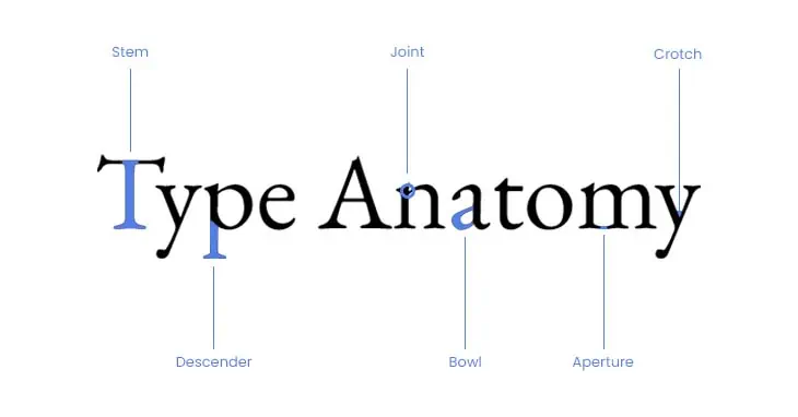 Diagram of type anatomy with labeled parts.