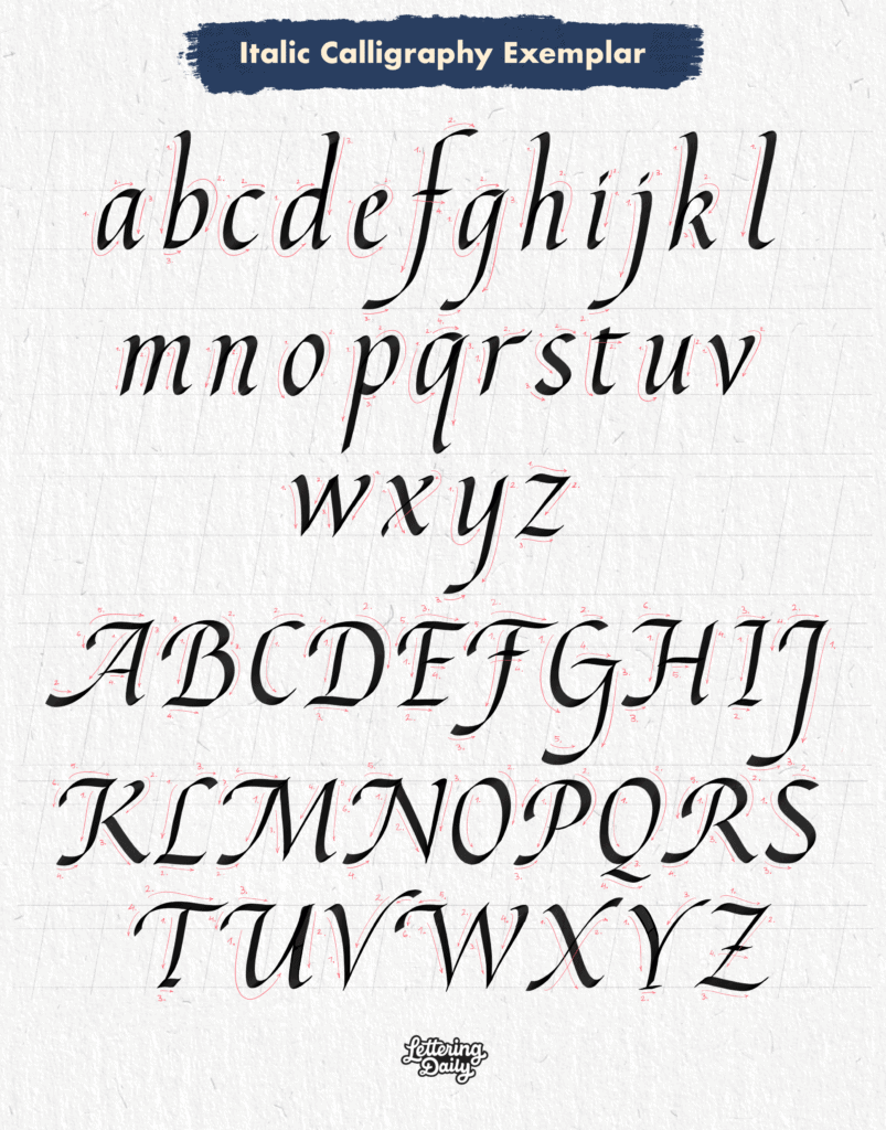 Italic calligraphy full exemplar with ductus. 
