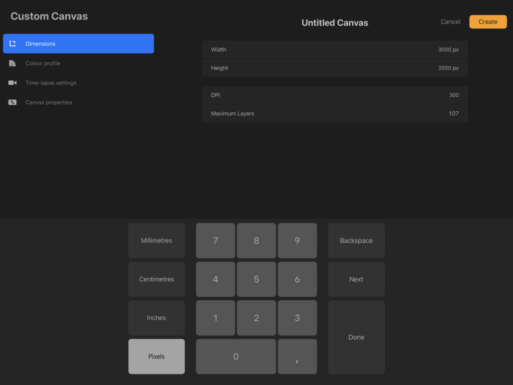 Custom canvas settings interface with dimensions and options