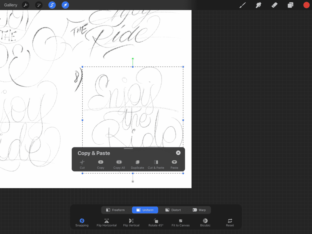 Handwritten phrase 'Enjoy the Ride' sketch