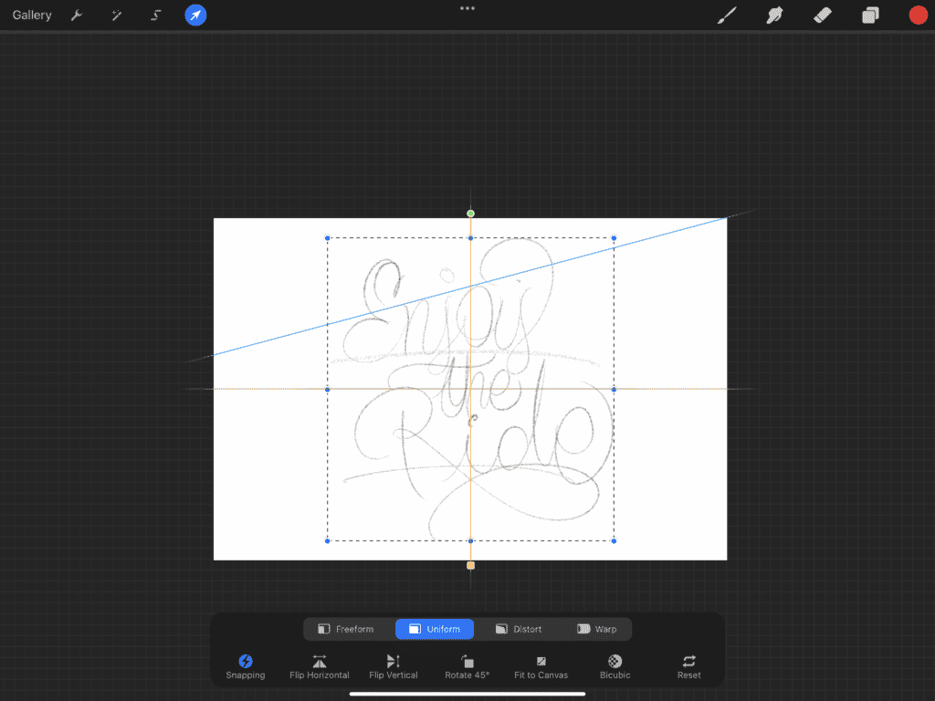 Design interface with handwritten text 'Enjoy the Ride'