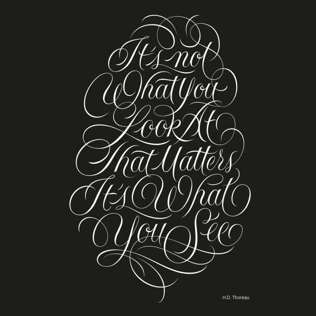 Quote by H.D. Thoreau on perception and perspective.
