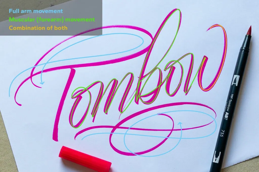 Calligraphy lettering with brush pen and movement guides
